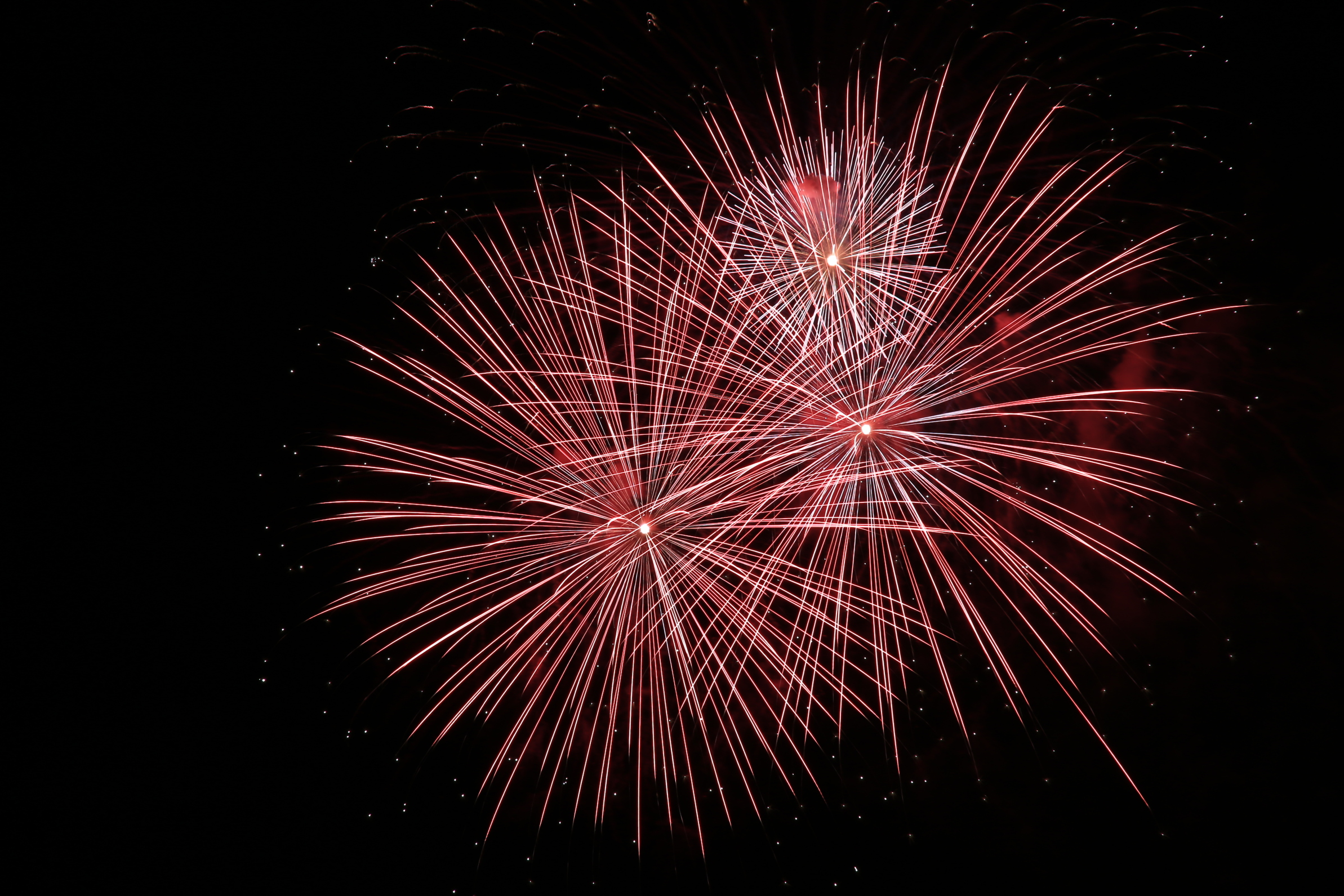 Celebrate Safely at a Public Fireworks Show in Los Angeles Hollywood